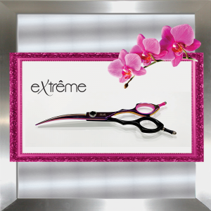 Extreme Series
